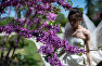 Невеста в цветущем саду Севастополя