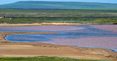 Кояшское озеро в Опукском природном заповеднике