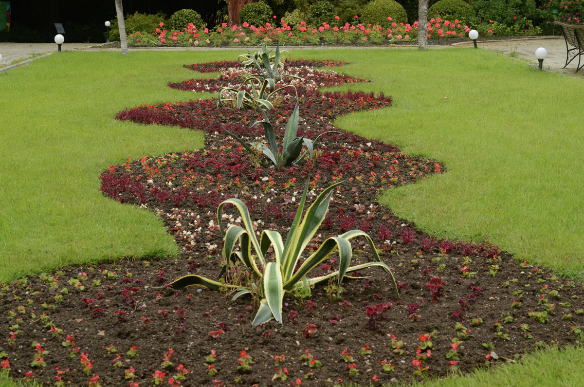 Цветочная композиция в Никитском ботаническом саду