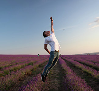 Фиолетовое настроение: фото цветущей лаванды в Крыму