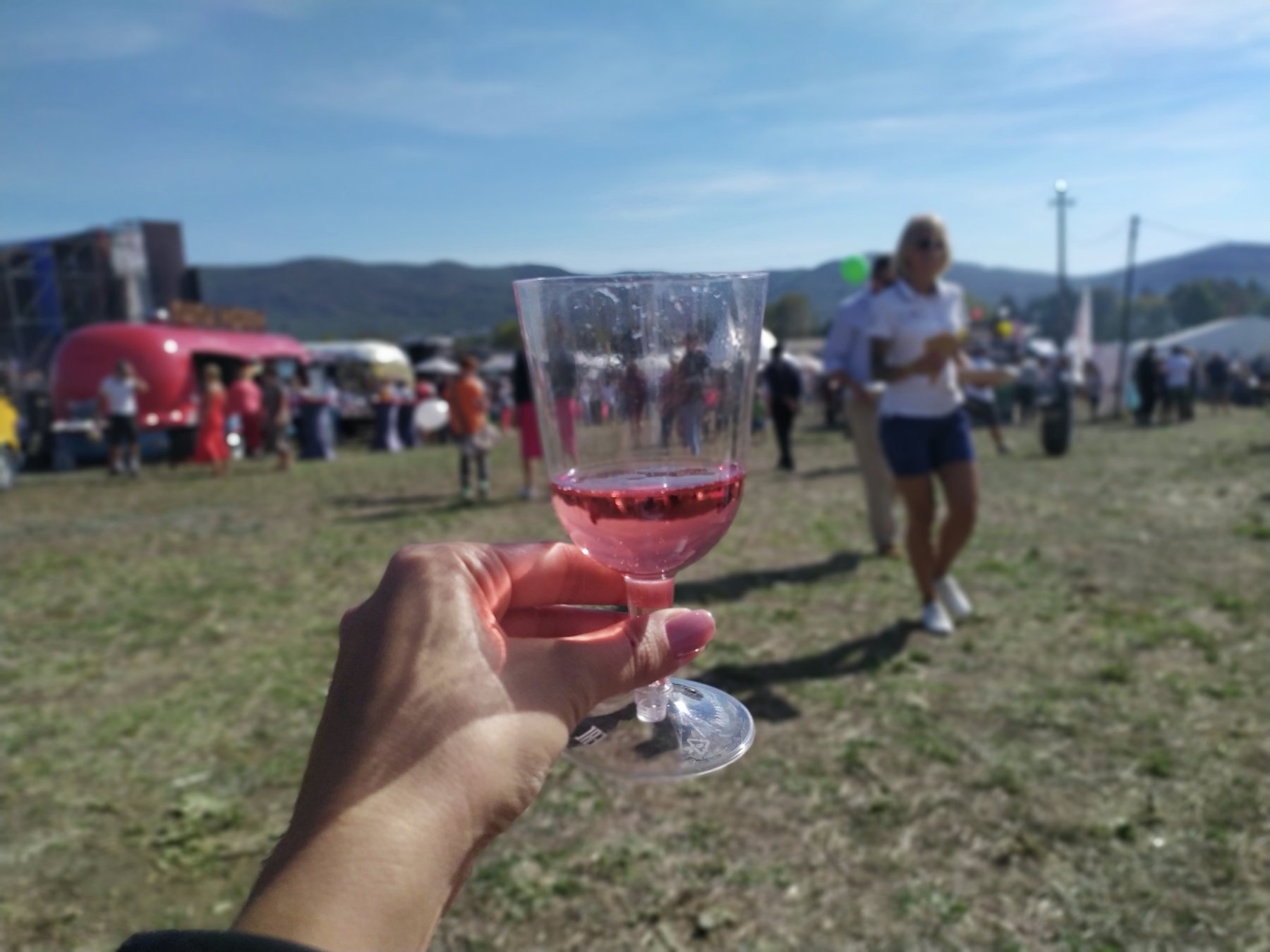 Фестиваль урожая и виноделия WineFest 