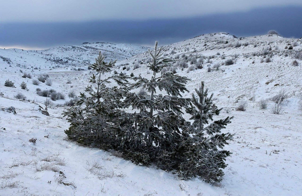 Снег в горах Крыма