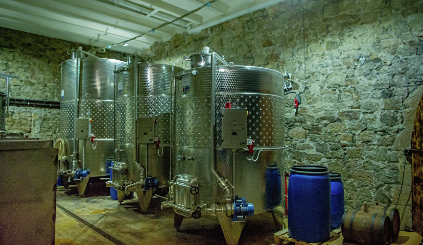Производство вина в Винном парке «Долина Святого Саввы»