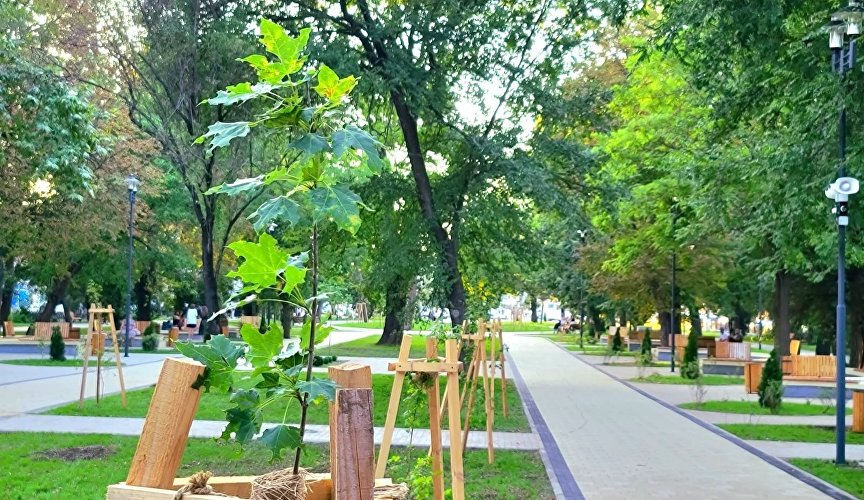 Сквер на бульваре Ленина в Симферополе