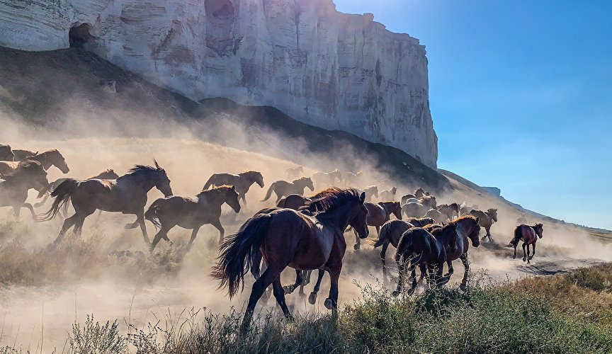 Фотография Ирины Артемовой «Перегон лошадей»