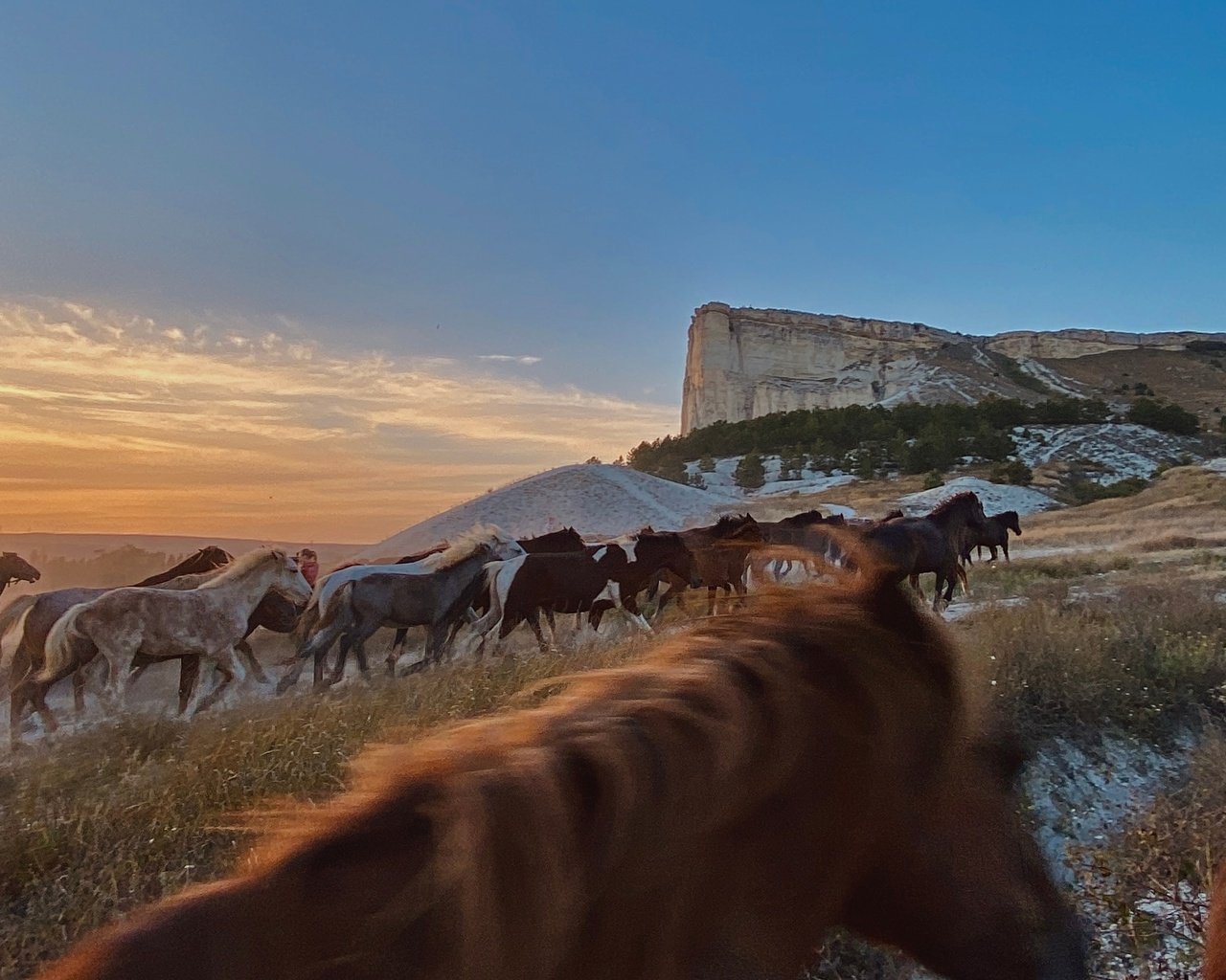 Фотография Арины Кузьминой &amp;laquo;Перегон лошадей на закате&amp;raquo; 