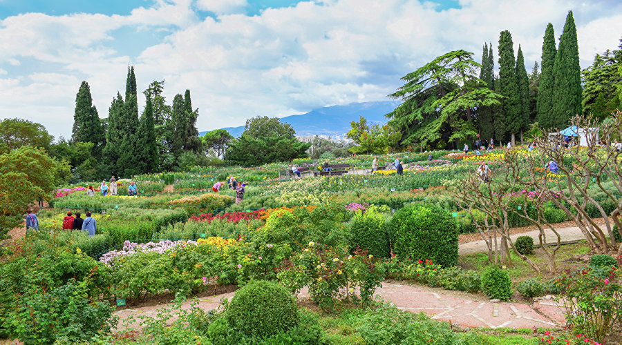 Бал хризантем в Никитском ботаническом саду Бал хризантем в Никитском ботаническом саду