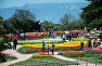 Посетители на открытии выставки «Парад тюльпанов» в Никитском ботаническом саду в Крыму