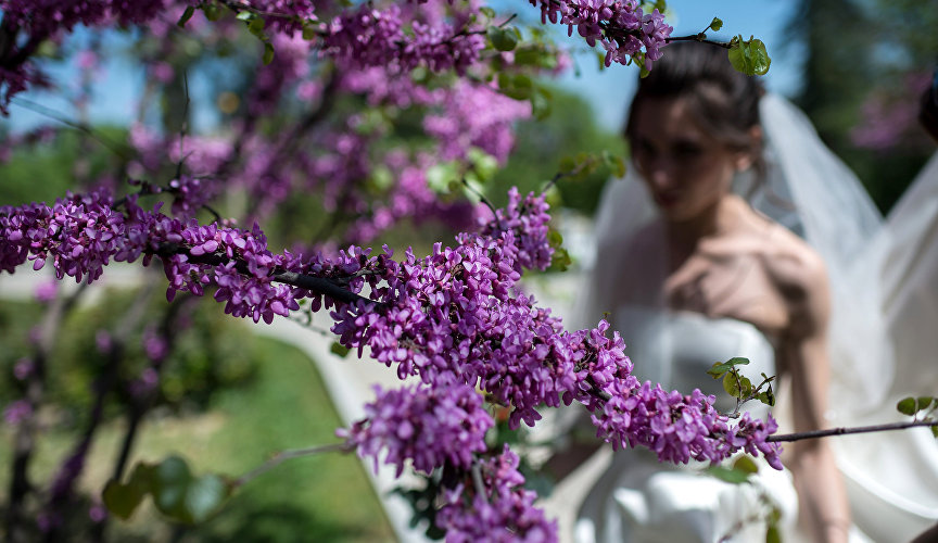 Невеста в цветущем саду Севастополя