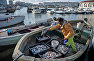 Рыбак во время прибрежного лова черноморской рыбы в Севастополе