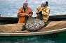 Рыбаки во время прибрежного лова черноморской рыбы в Севастополе