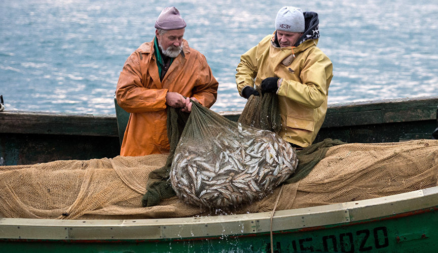 Рыбаки во время прибрежного лова черноморской рыбы в Севастополе