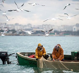 Добывая морское золото: фоторыбалка в Крыму