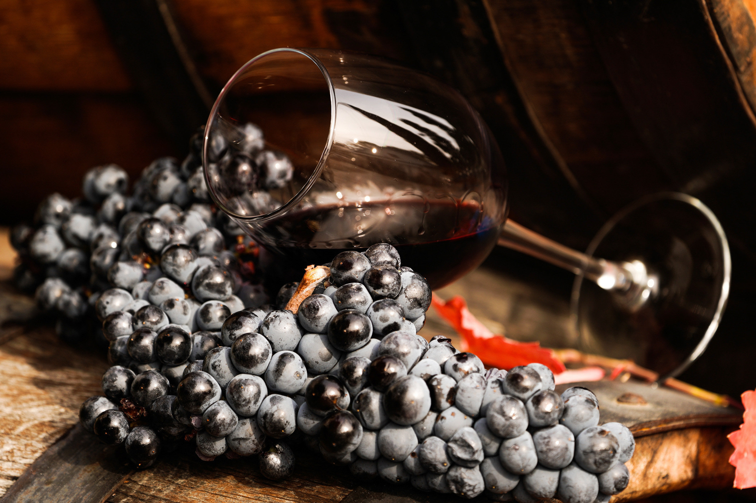 Виноградная лоза и вино в бокале на винодельческом предприятии в Крыму