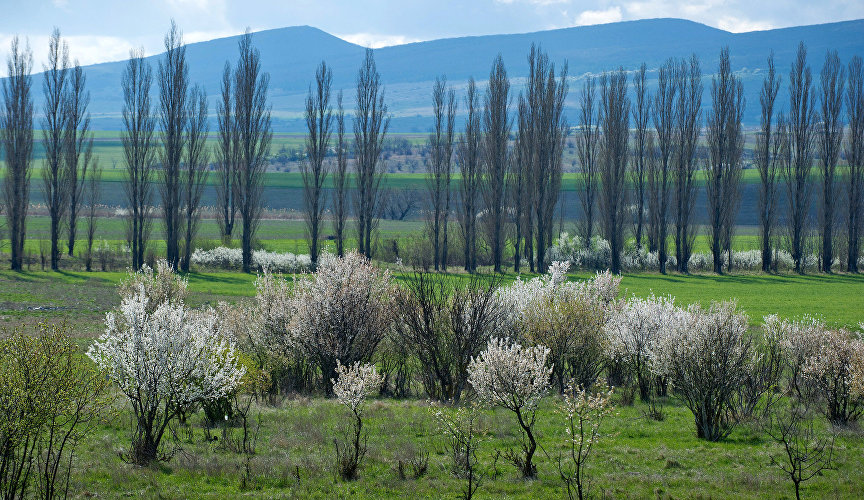 Цветущая долина в окрестностях деревни Васильевка Белогорского района Крыма