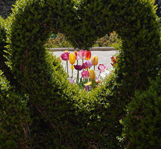 Рок-концерт, «Девичник» и интересные кактусы: где провести выходные в Крыму