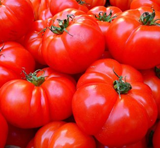 Вкусный праздник: в долине Красных пещер ждут смельчаков на томатную битву