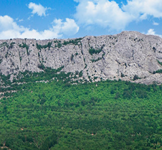 В Крыму продлили запрет на посещение лесов