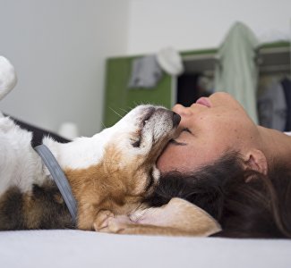 Россияне рассказали о самых странных покупках во время карантина