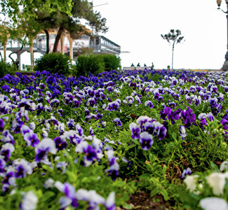«Я – город Ялта»: в Крыму запускают новый спектакль-променад