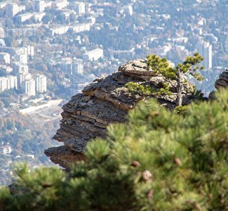 В Крыму обсудили вопросы легализации мини-отелей