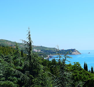 Туристы назвали самые популярные направления России для отдыха