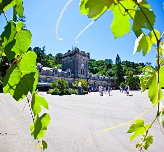 На винзаводе «Массандра» возобновили дегустации и экскурсии