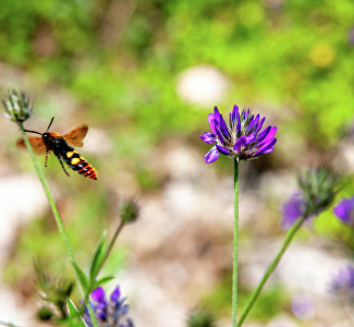 Крым возглавил рейтинг лучших направлений для экотуризма