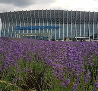 На привокзальной площади аэропорта Симферополь расцвело «лавандовое море»