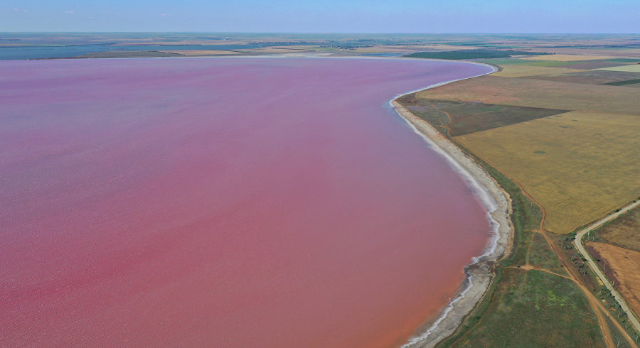 И целебно, и красиво: розовое озеро Сасык-Сиваш на фото
