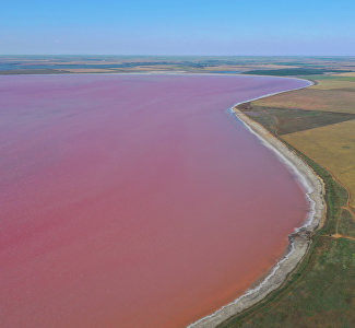 И целебно, и красиво: розовое озеро Сасык-Сиваш на фото