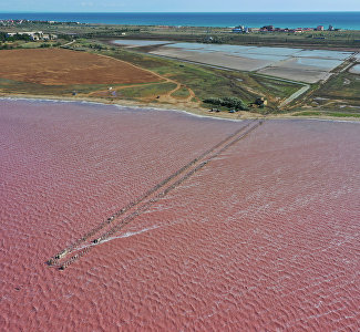 Что обязательно нужно сделать в Крыму в августе