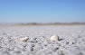Соль на берегу озера Сасык-Сиваш