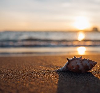 Два курорта Крыма на Азове вошли в рейтинг лучших для отдыха с детьми