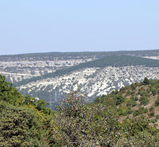 В Севастополе ограничили посещение лесов