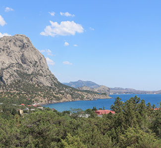 Известные художники России съедутся на пленэр в Новый Свет