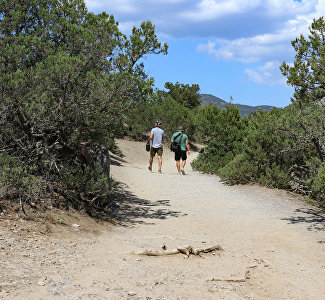 Крым возглавил рейтинг самых живописных мест для треккинга