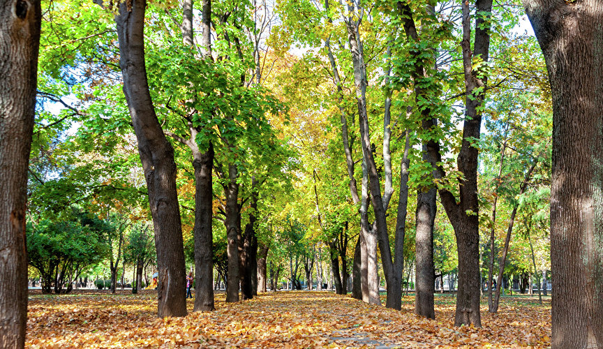 Парк имени Гагарина в Симферополе