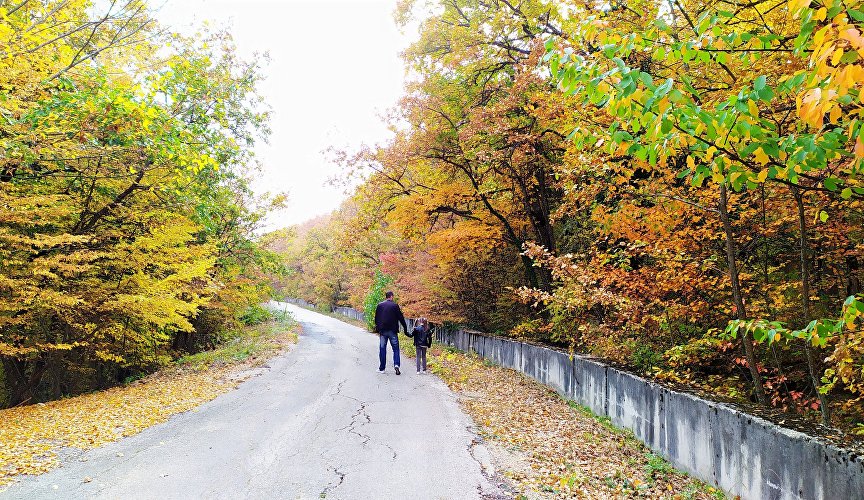 Прогулка по осенней дороге в Крыму