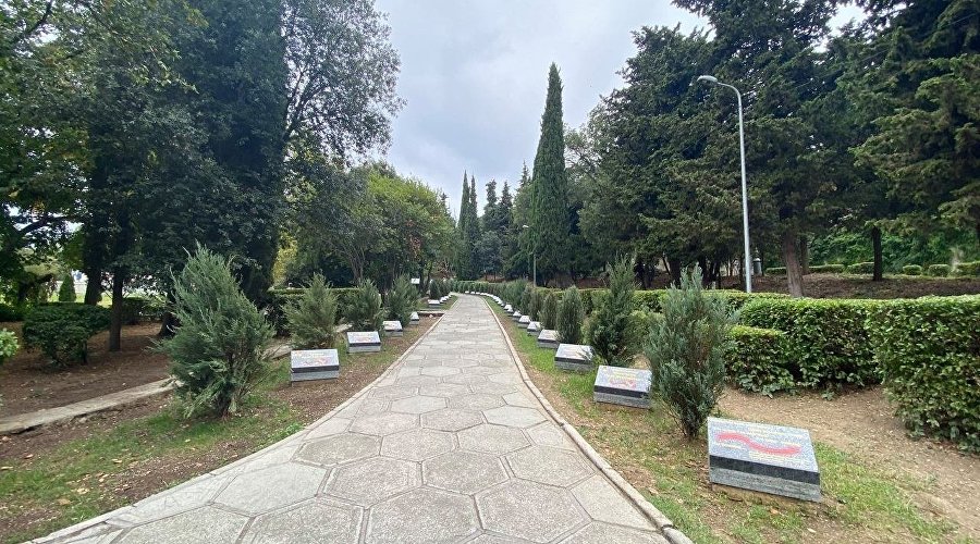 «Аллея Славы» в парке Ливадийского дворца