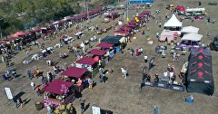 Фестиваль урожая и виноделия WineFest