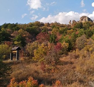 Горно-лесной «фитнес»: в Крыму открыли обновлённые оборудованные экотропы