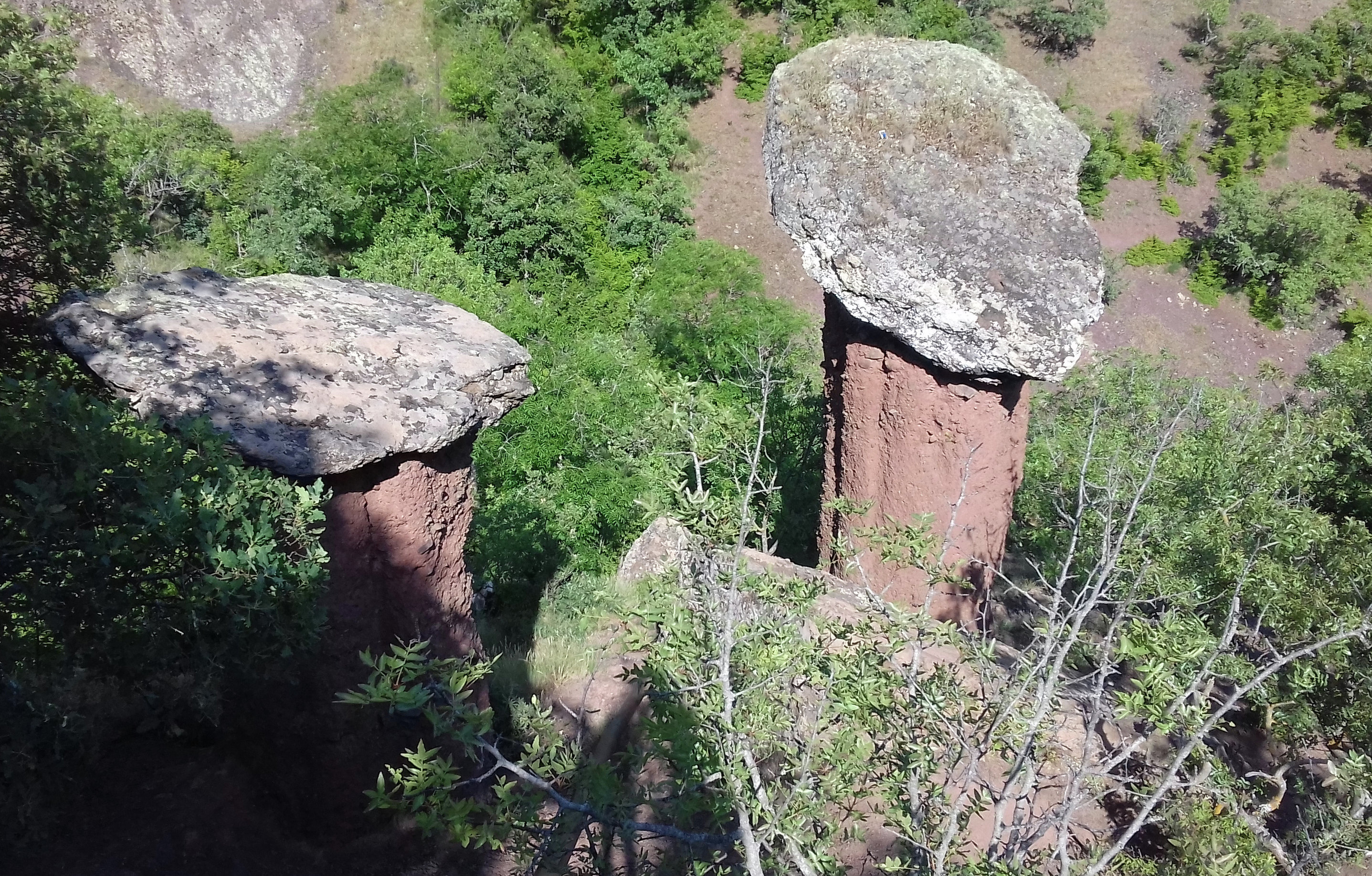 Каменные грибы в урочище Сотера