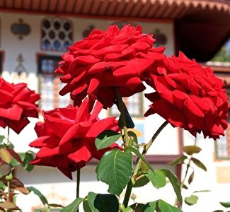 Орденская посуда и Бахчисарай на открытках: что посмотреть в Ханском дворце