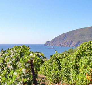 В Крыму отметят 800-летие со дня рождения князя Александра Невского