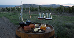 Вино и сыр на винограднике на востоке Крыма