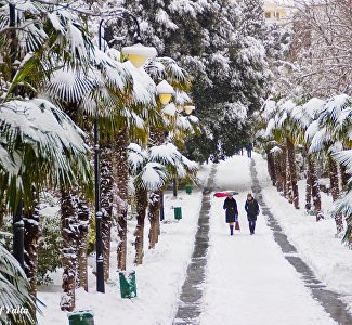 Зима в Крыму: фото ко Всемирному дню снега