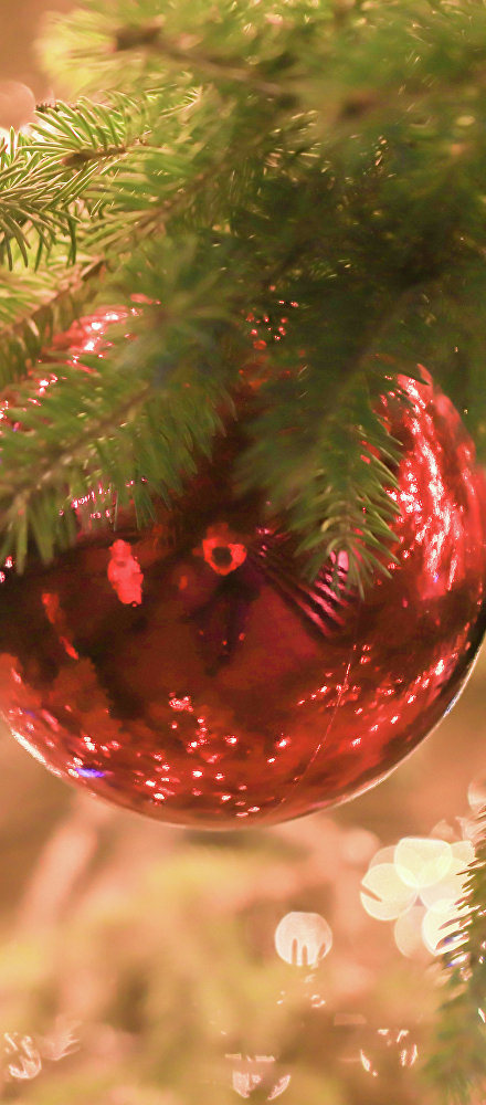 Зимние каникулы на полуострове: что посмотреть, попробовать и в чём поучаствовать Зимние каникулы на полуострове: что посмотреть, попробовать и в чём поучаствовать