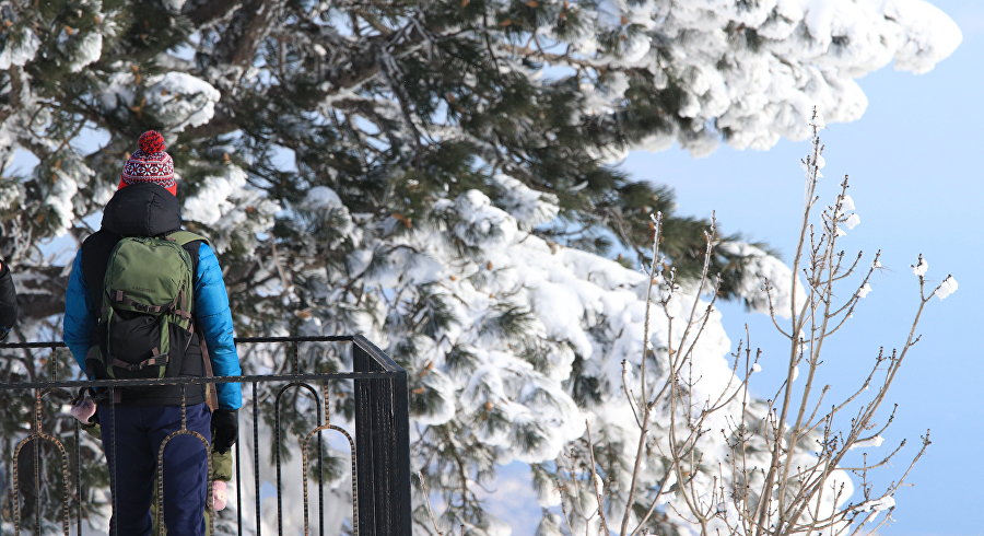 Моменты счастья: 10 причин приехать в Крым зимой