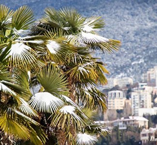 Крым вошёл в ТОП популярных для зимнего отдыха регионов